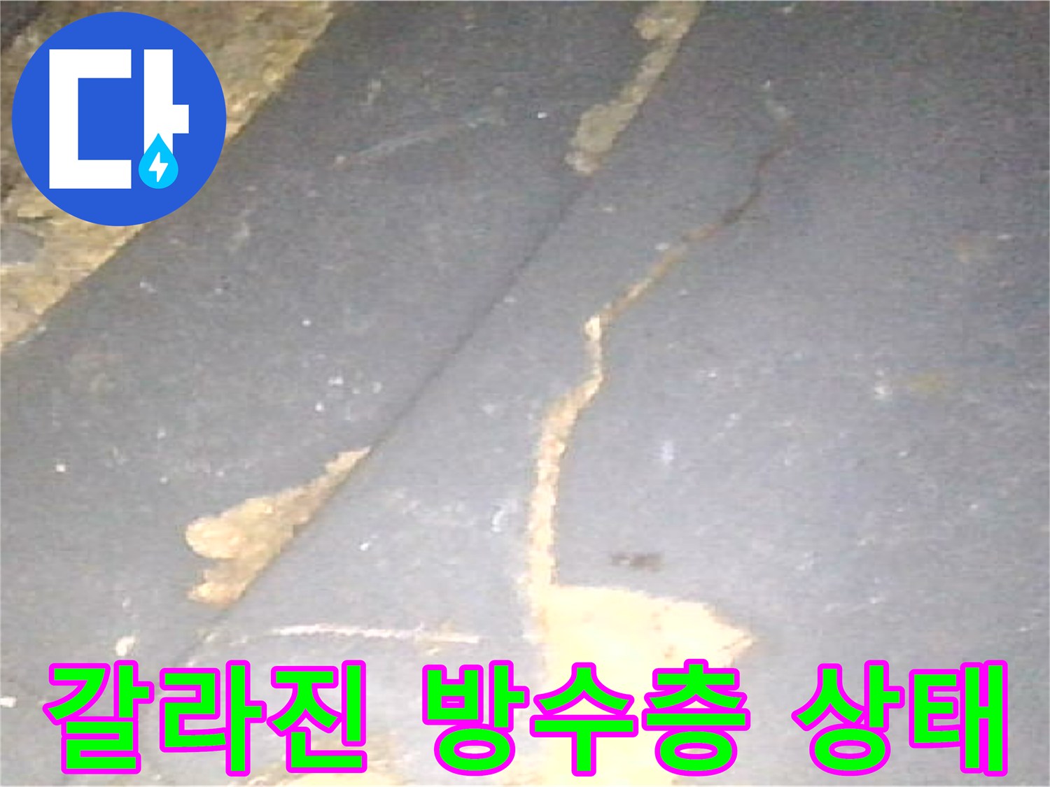배수구-주변-방수층-벌어짐-현상