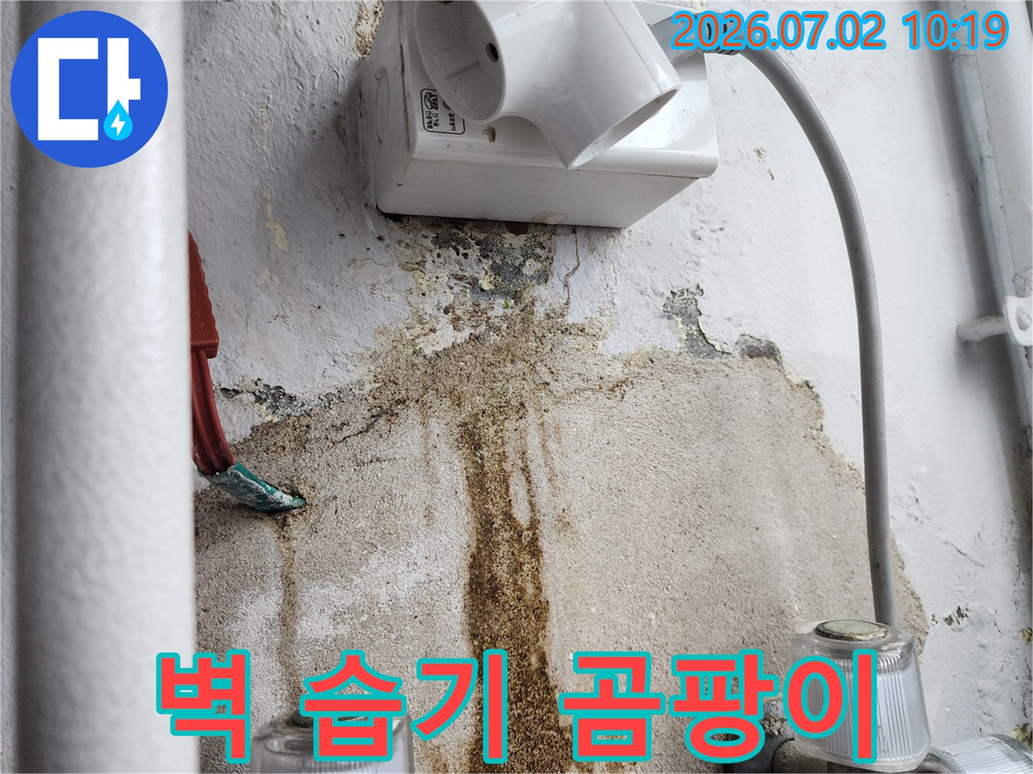 울산-복산2동-주택-벽에서-발견된-심각한-누수-흔적과-곰팡이