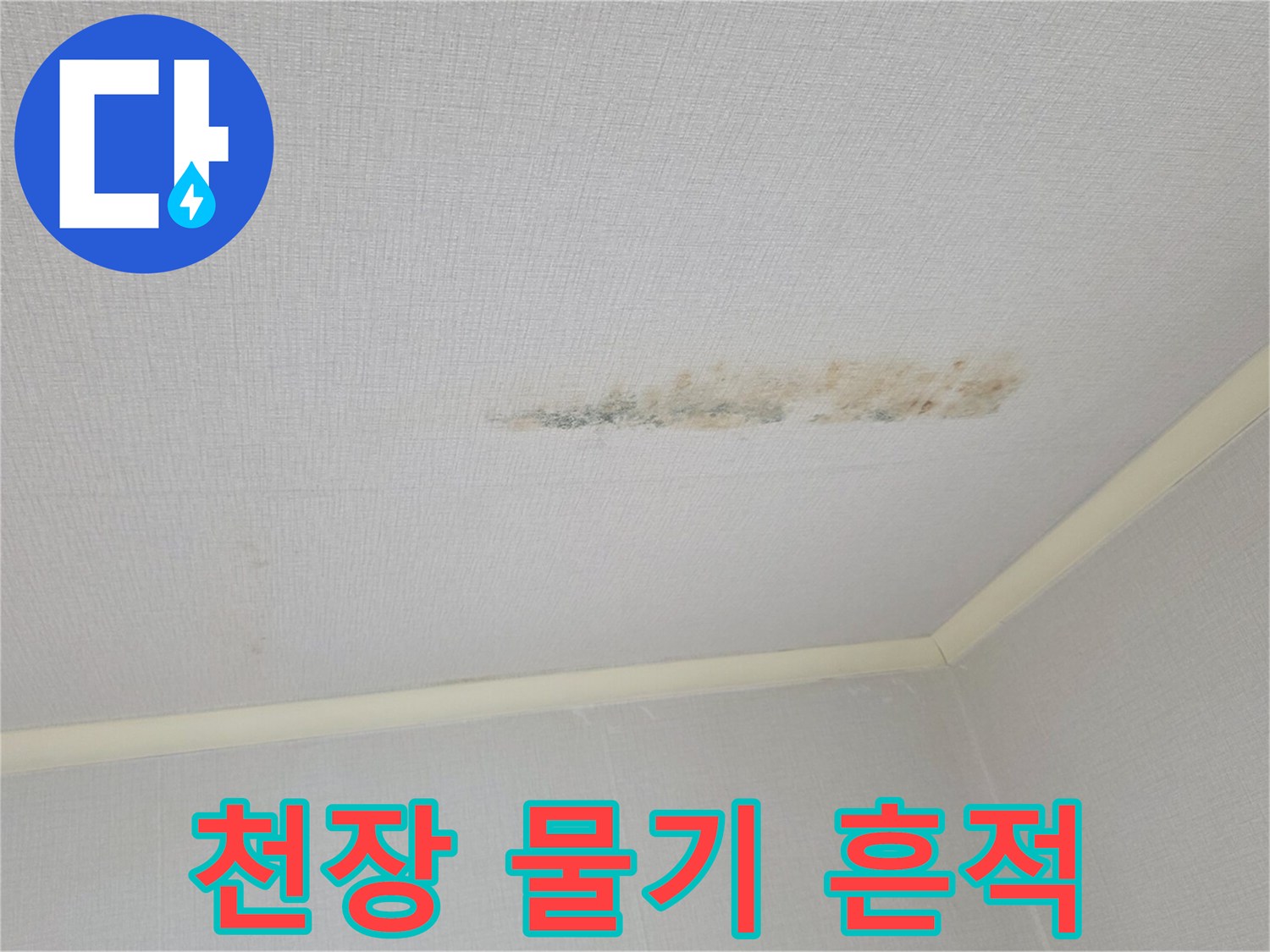 천장-벽면-가장자리의-축축한-물샘-자국