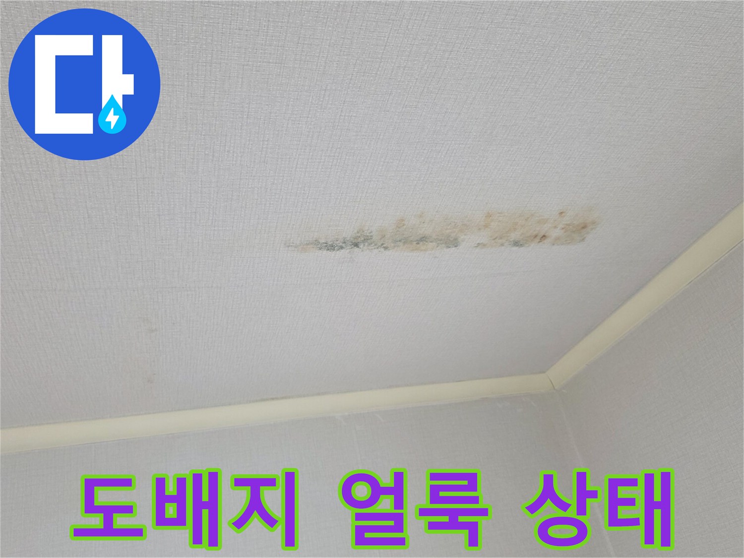 천장 벽지 변색-누수로 인한 곰팡이 발생 전조