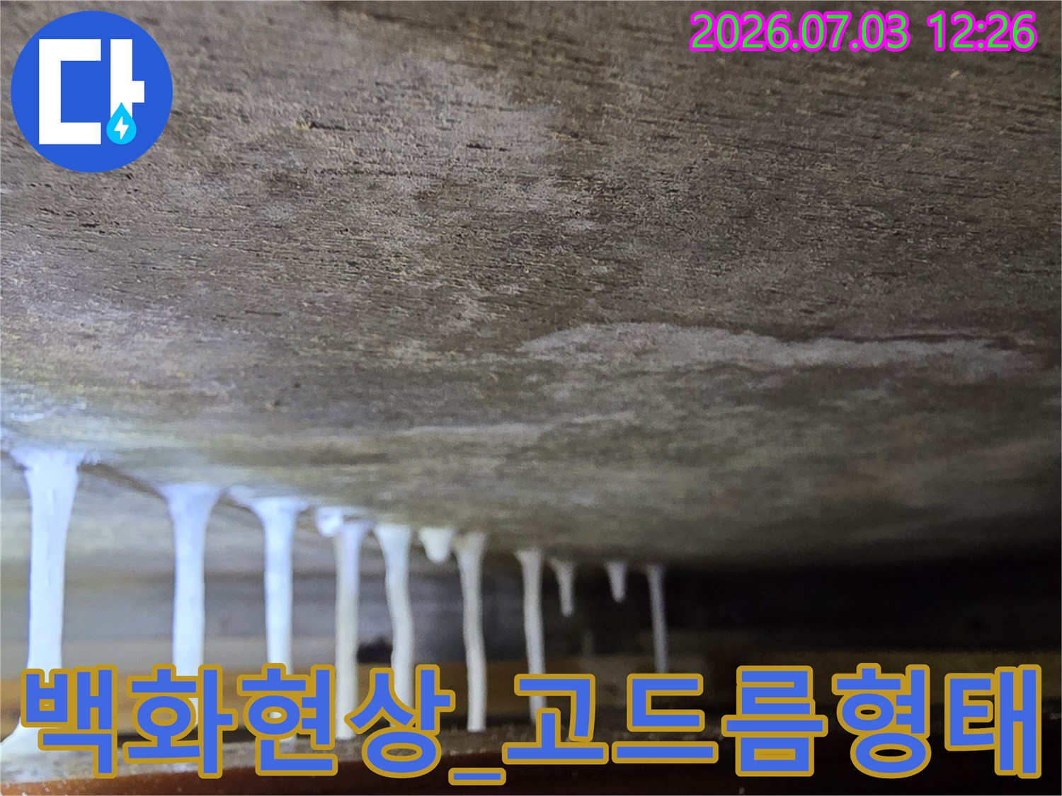 천장 콘크리트 표면에 고드름 모양으로 형성된 백화 현상 사진