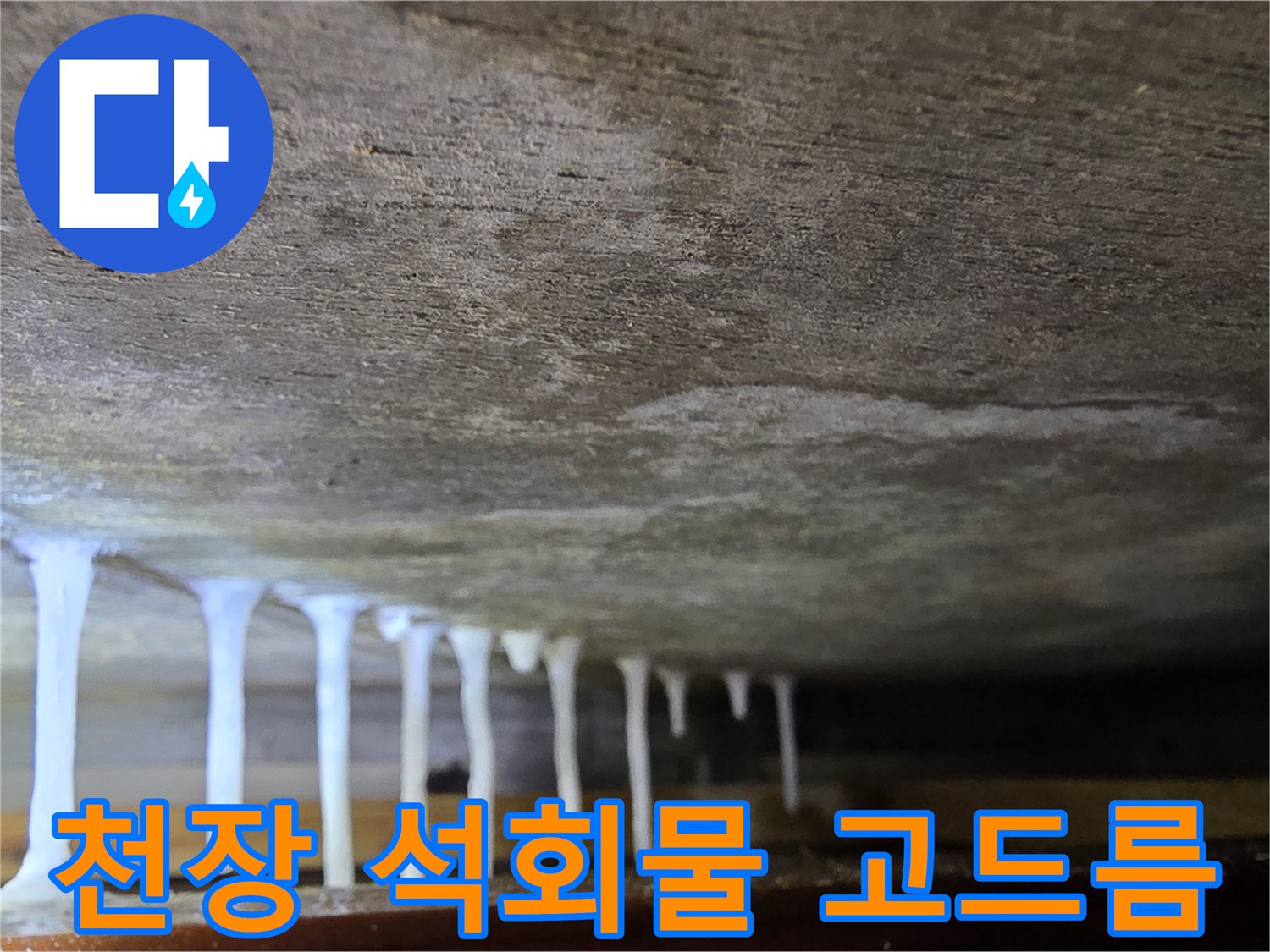 콘크리트 슬래브-천장에서 흘러나온 석회물 고드름 현상