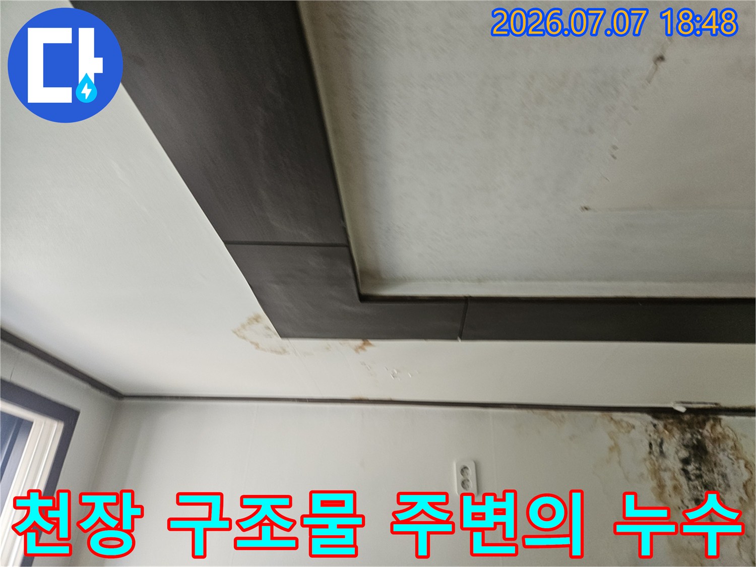 구조물과 천장 경계면을 따라 발생한 곰팡이 자국