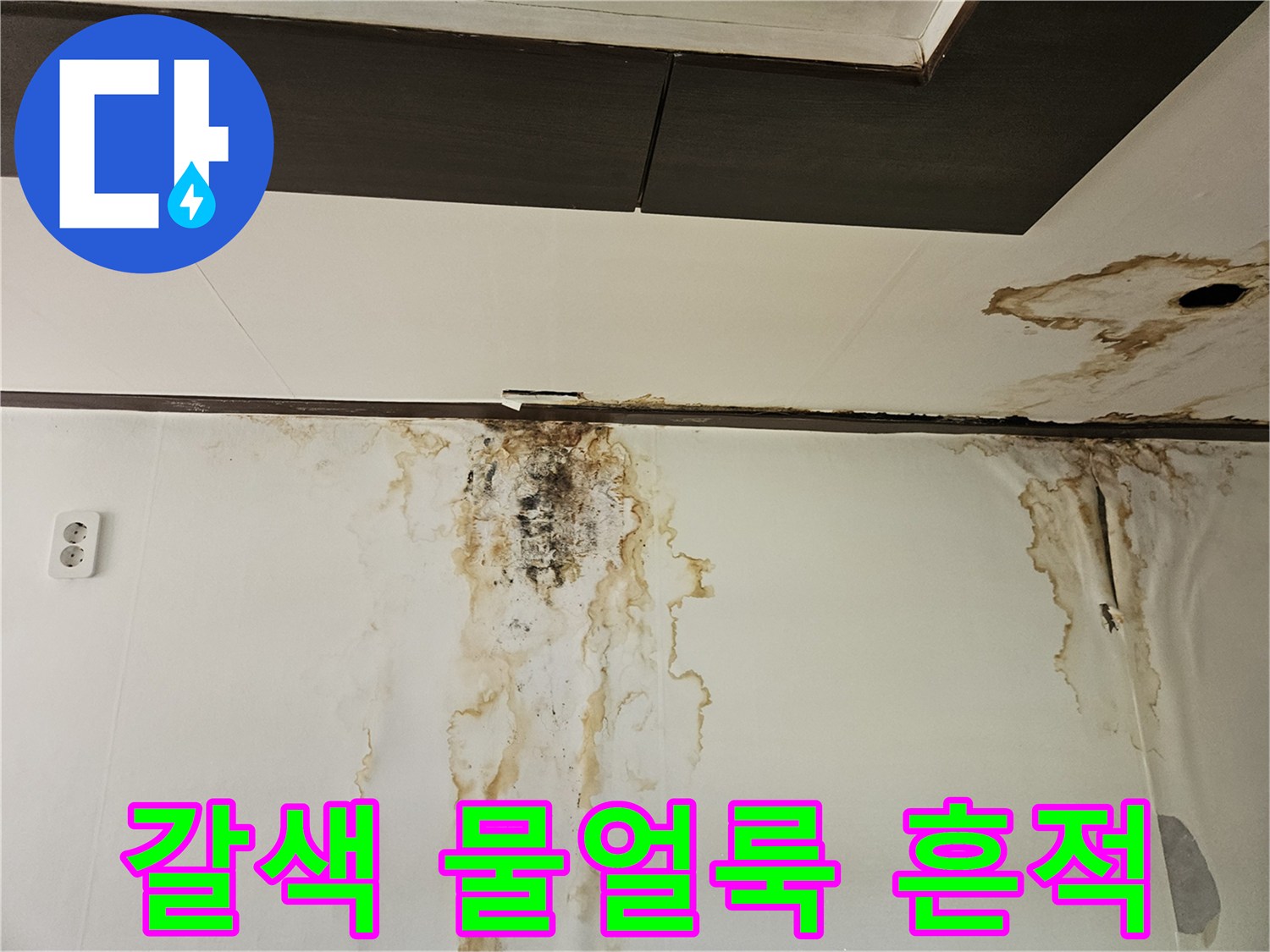 벽면과 천장 접합부의 갈색 누수 얼룩 및 곰팡이