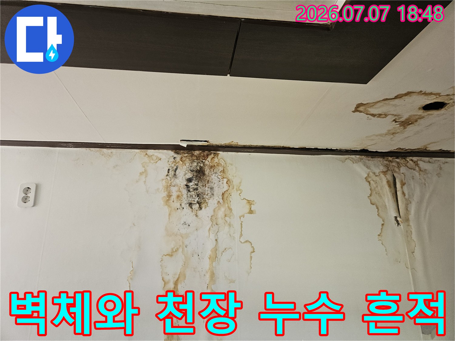 천장 마감재 및 벽면 경계에 발생한 누수로 인한 변색과 곰팡이 현황