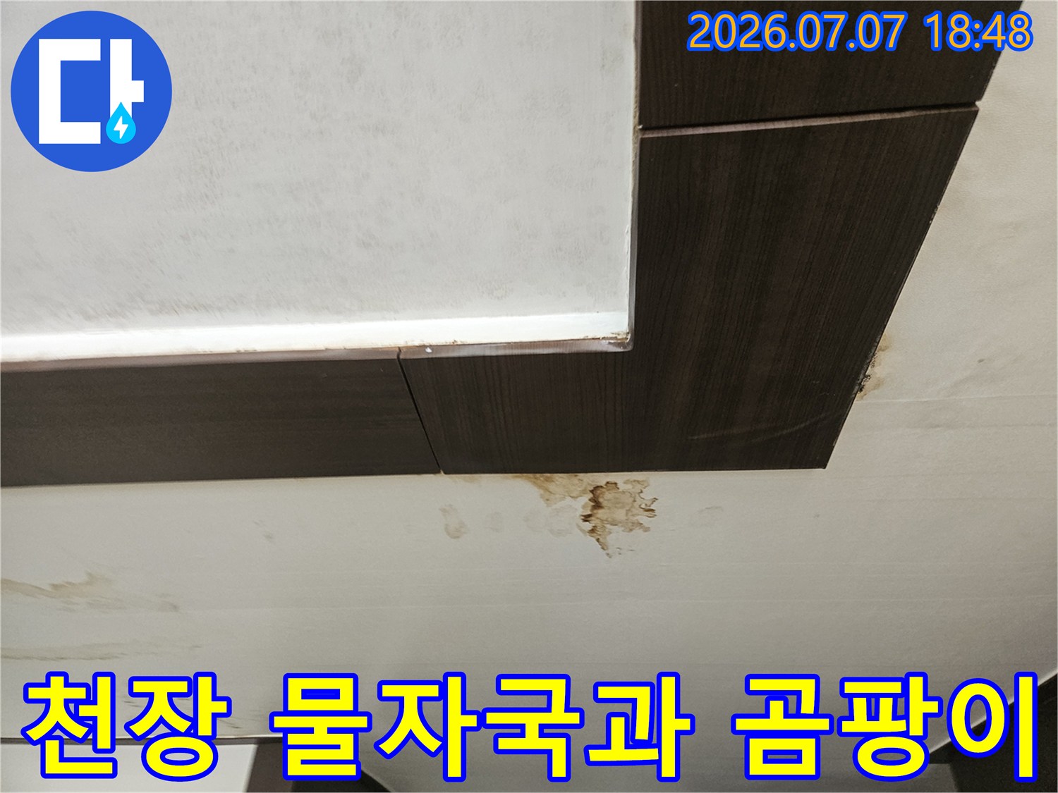 천장 마감재와 목재 소재에 발생한 누수 흔적 및 곰팡이