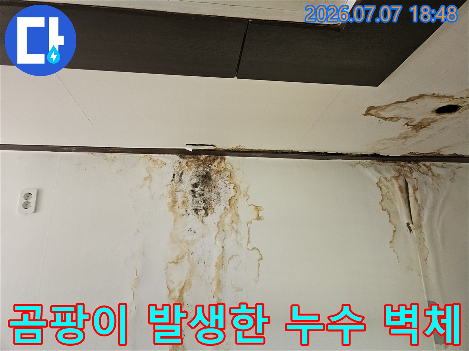 천장과 벽면 경계부에 형성된 곰팡이 및 물자국 현장
