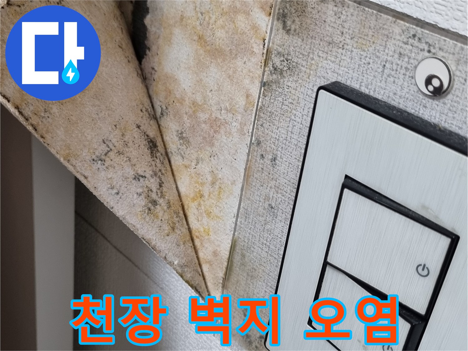 천장-벽면의-곰팡이와-스위치-주변-변색된-상태