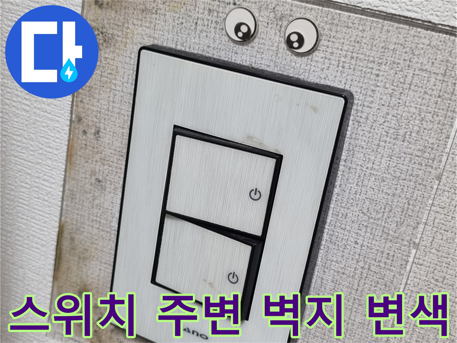 천장-전등-스위치-주변의-젖은-벽지와-오염된-플레이트