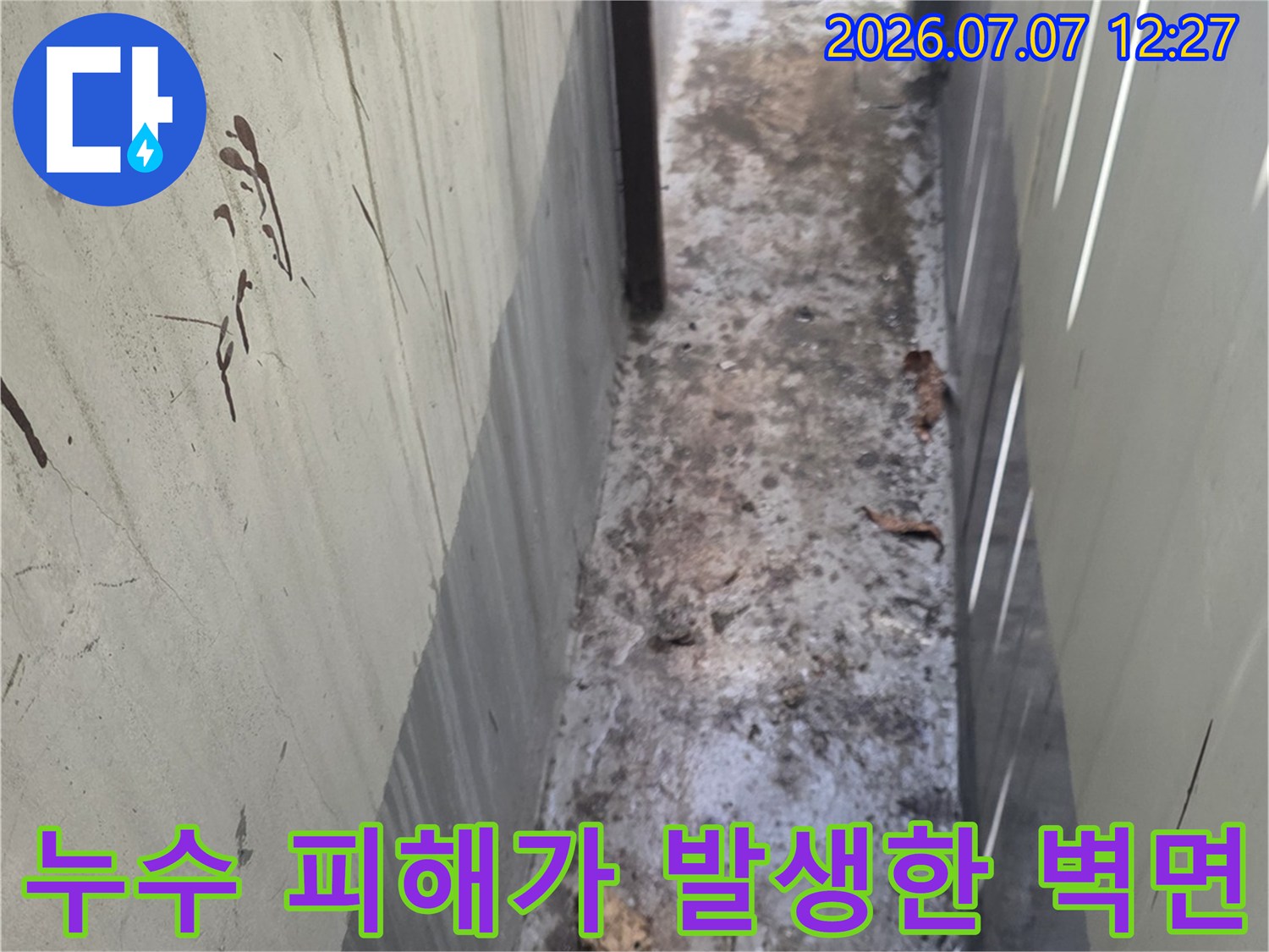 천장과 벽면이 만나는 지점에 누수로 인한 변색과 곰팡이가 발생한 장면
