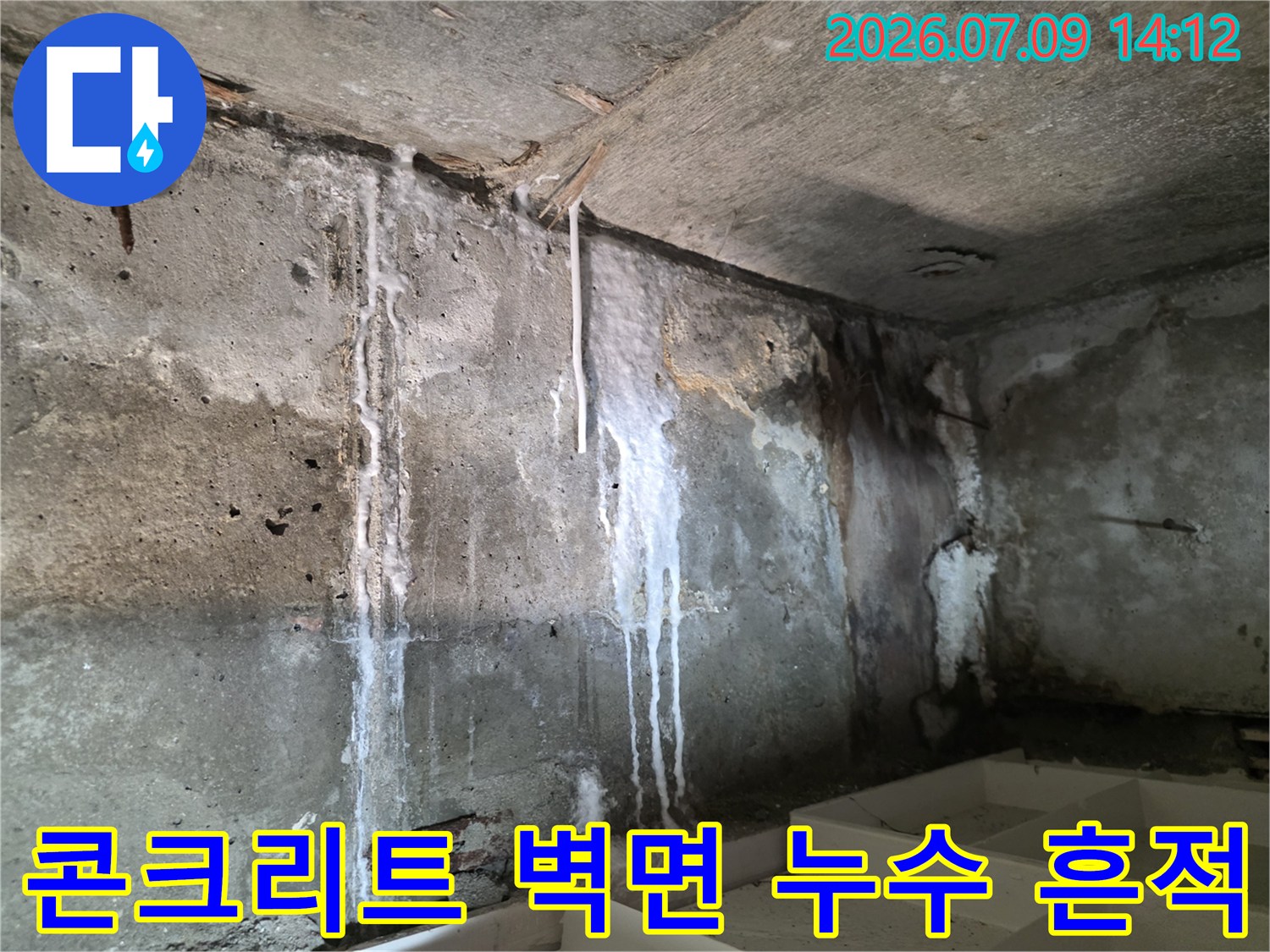 벽면에 길게 형성된 석회체와 천장 경계 부위의 노출된 콘크리트