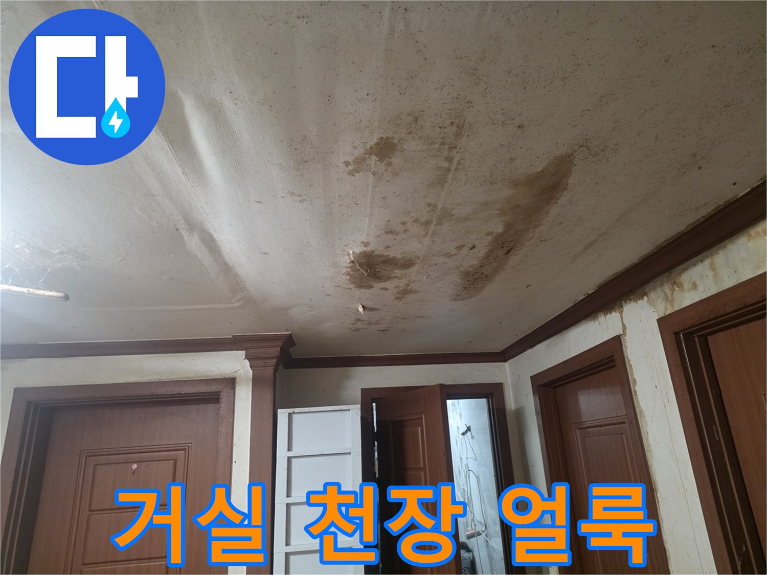 거실-천장-부분별-얼룩과-변색된-상태
