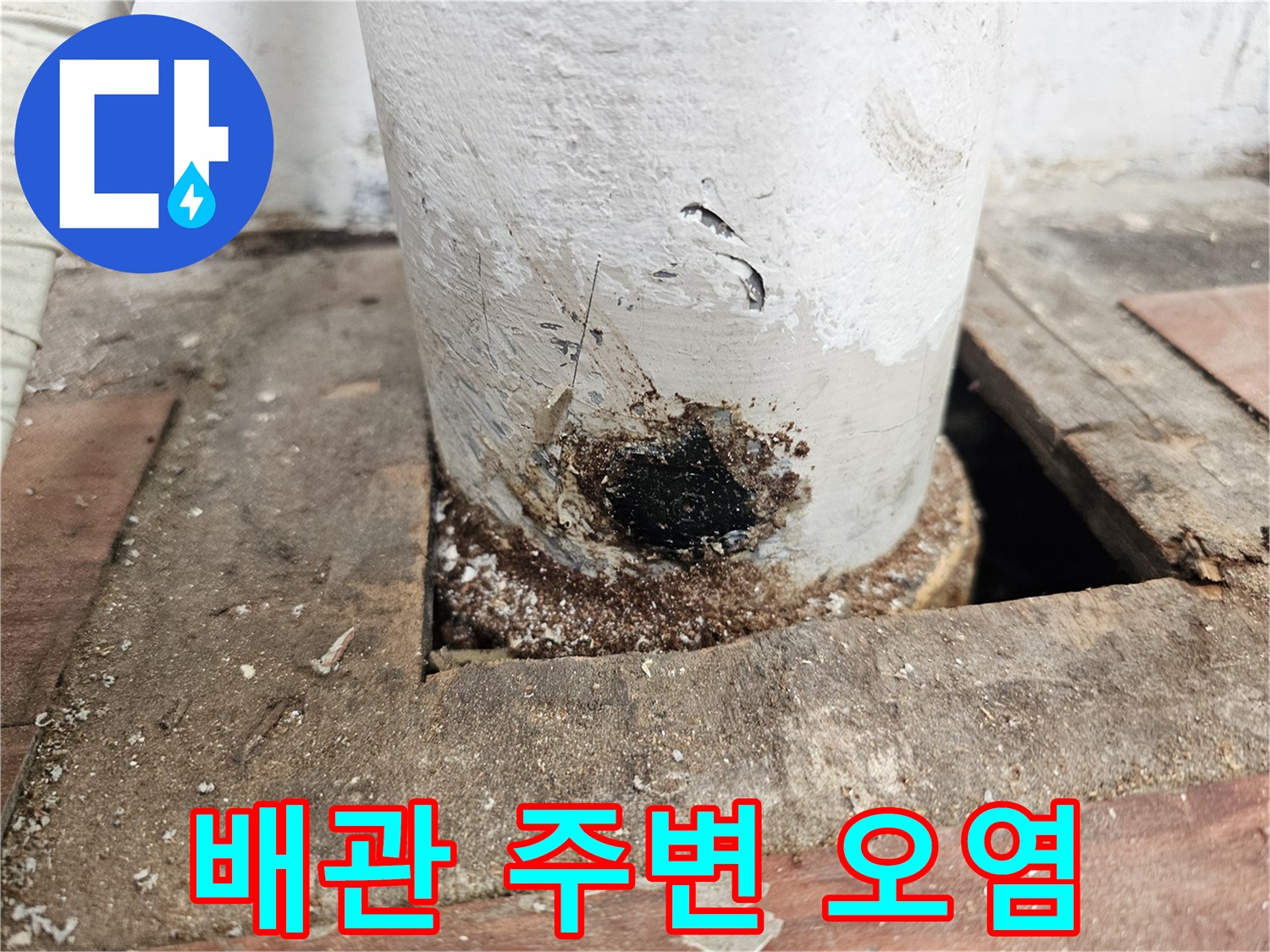 배수관-사이로-스며든-물과-이물질