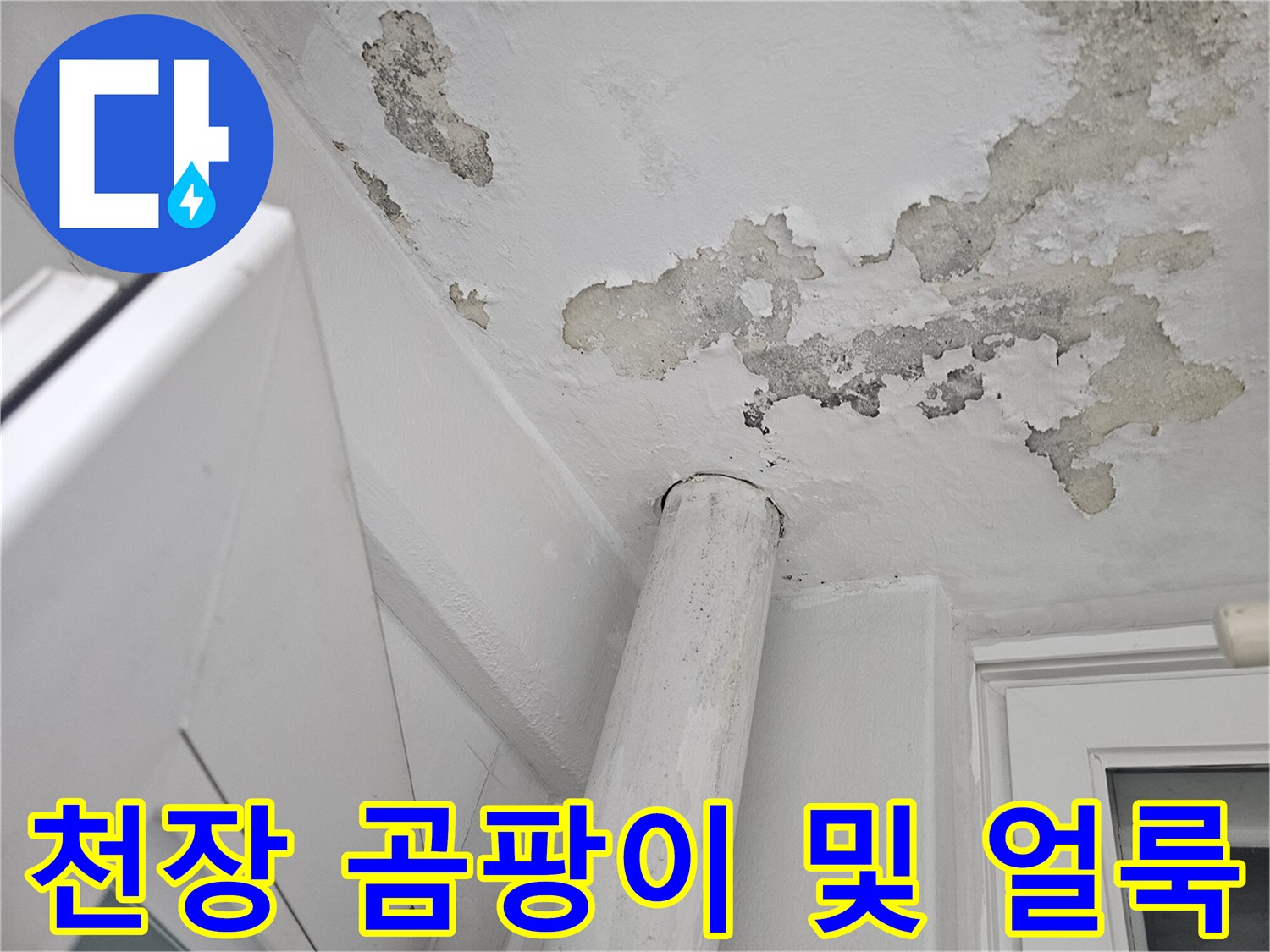 베란다 천장 부위의-심한 곰팡이와 오염 흔적