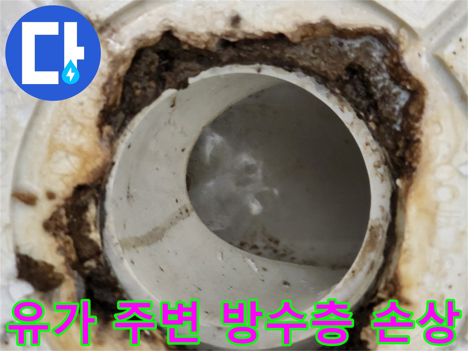 배수구 유가 테두리 부분의 틈새와 오염된 상태를 근접 촬영한 사진입니다.