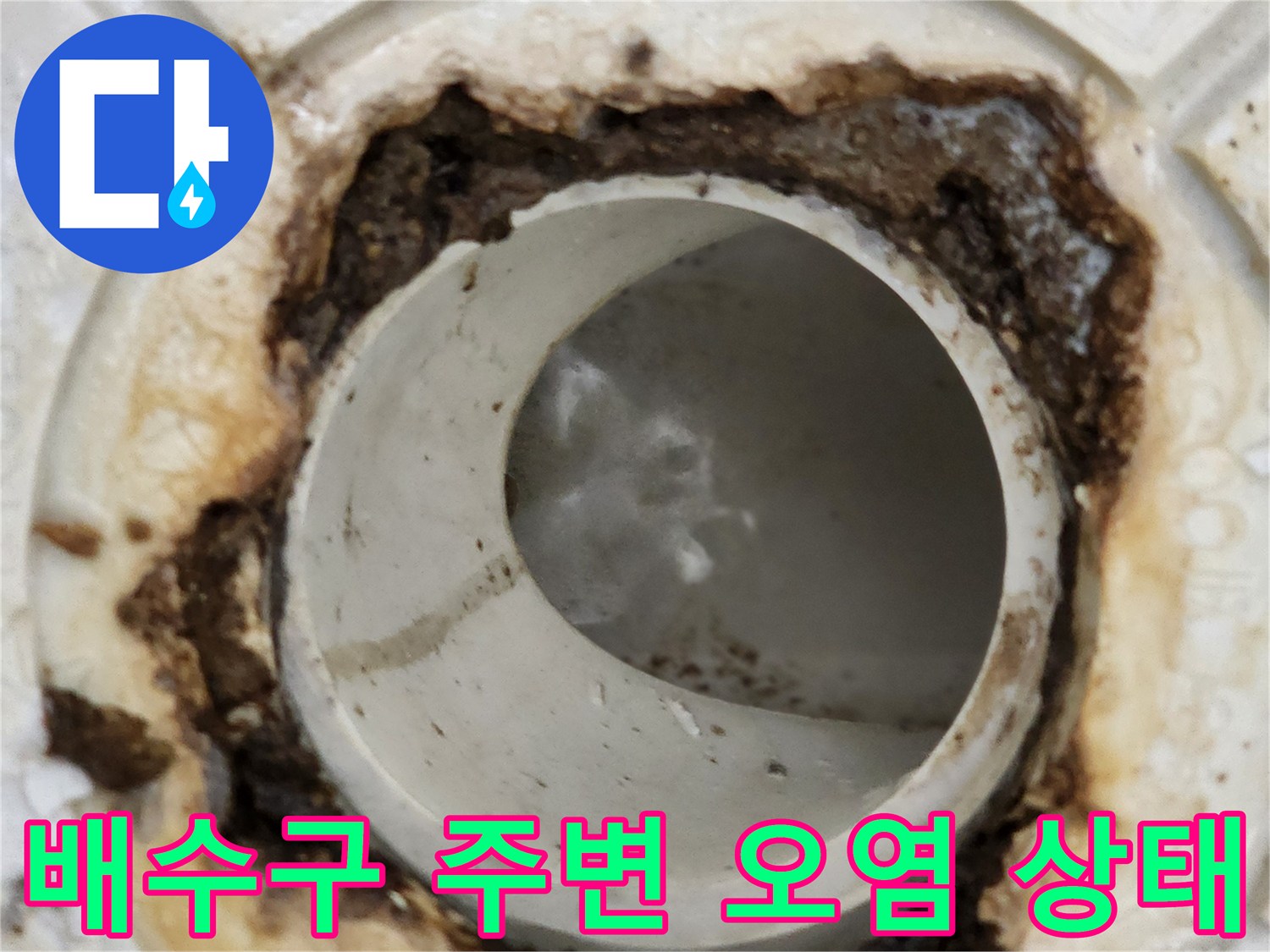 화장실 배수구 유가 주변의 심한 오염과 이물질 상태를 보여주는 사진입니다.