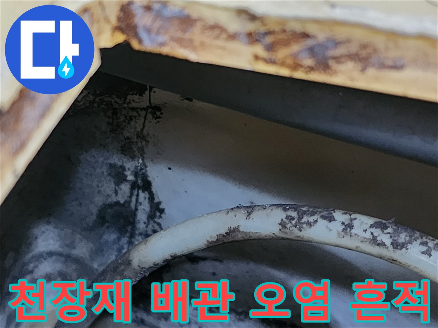 화장실 천장 틈새로 보이는 누수된 물줄기와 검은 곰팡이 자국