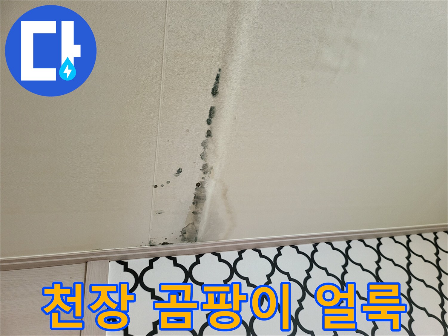 빌라 거실 천장에 발생한 검은색 곰팡이와 물자국