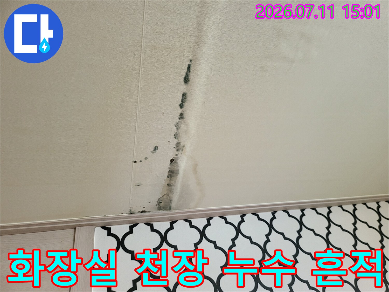 화장실 천장 타일과 벽면을 타고 흘러내린 물의 자국과 곰팡이 오염 현황