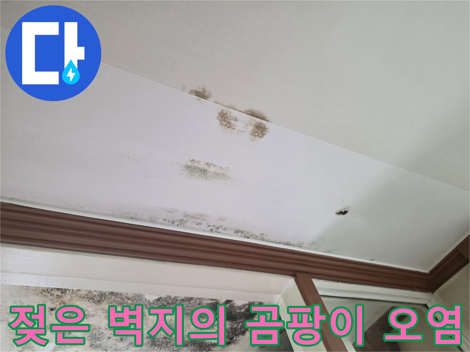 누수로-오염된-천장-벽면의-곰팡이-상태