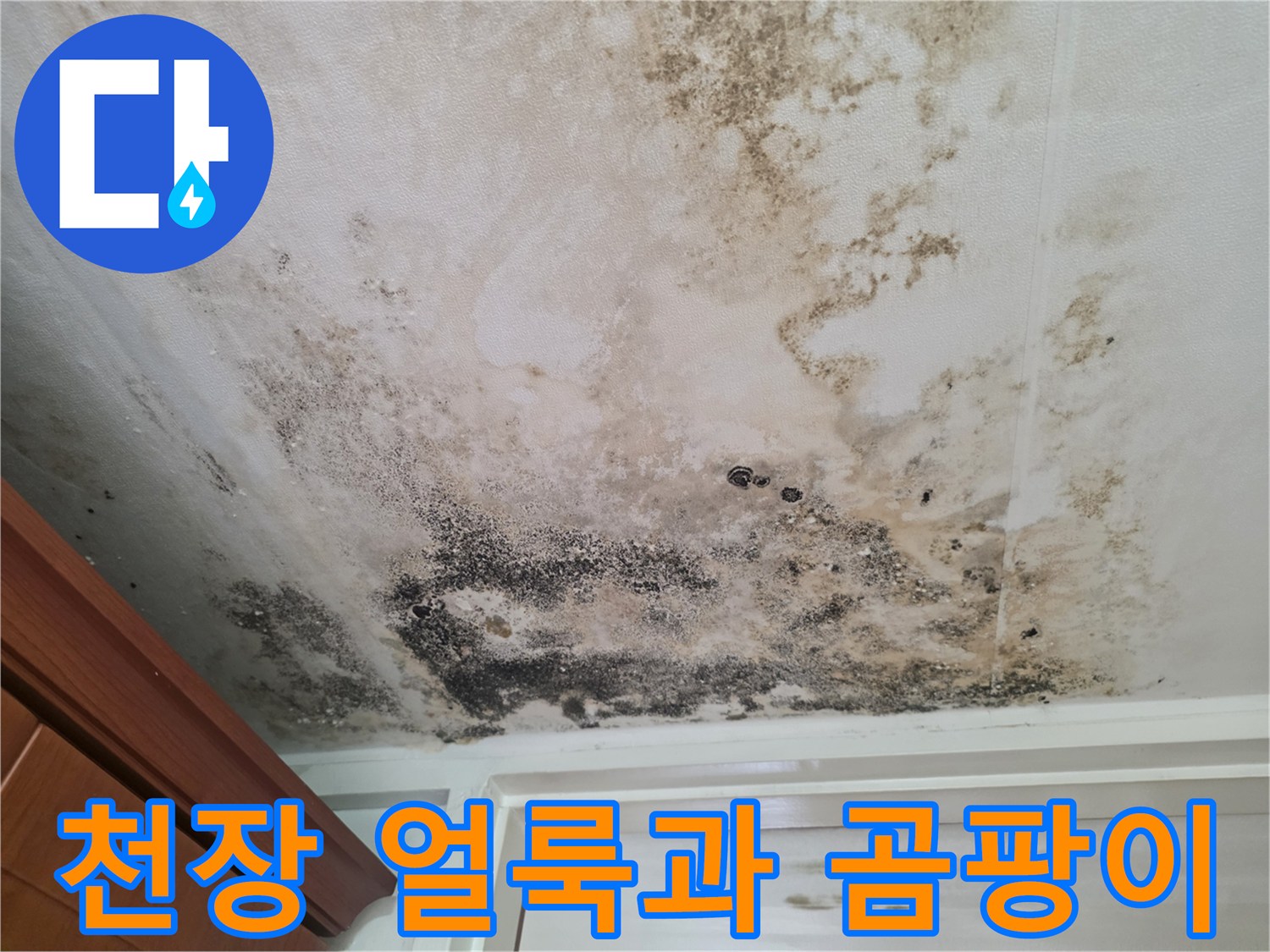 물샘으로 인해 발생한 천장의 심한 변색과 오염 현상