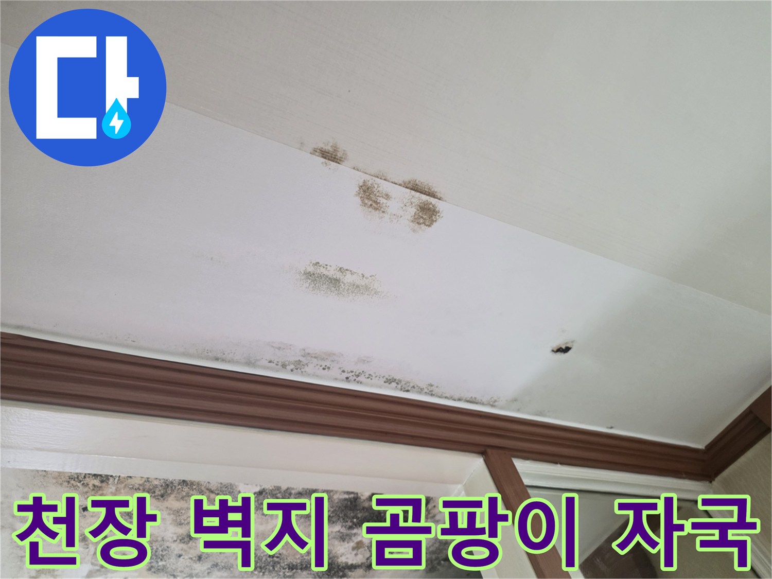 습기 침투로 인해 발생한 천장 중앙부의 누수 얼룩