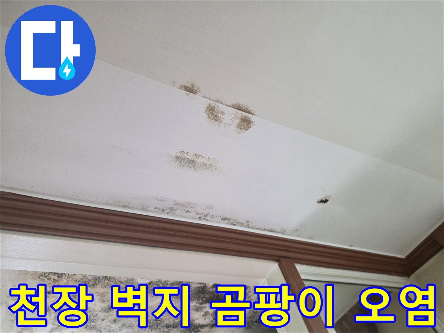 습기로 인해 변색되고 곰팡이가 피어오른 천장 마감 부위
