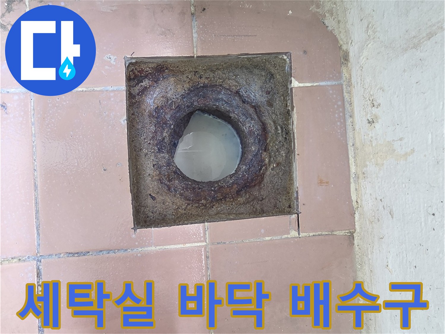 오염된 상태의 세탁실 배수구 상세 사진