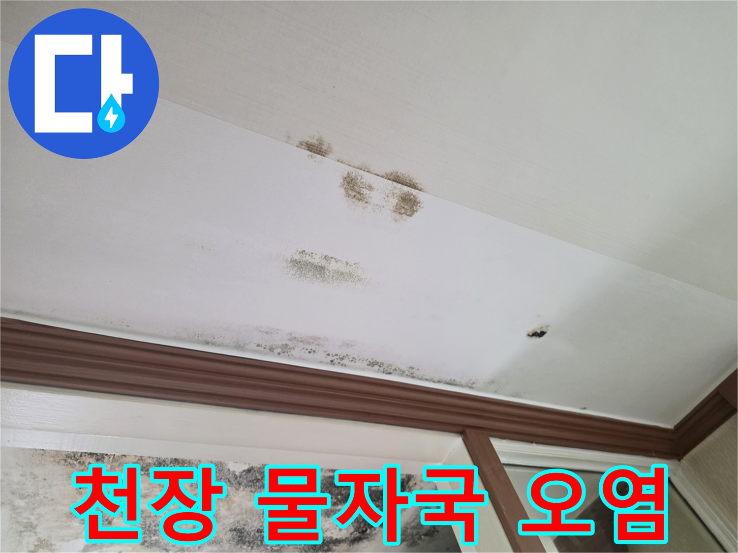 천장 석고보드에 나타난 물 번짐과 곰팡이 흔적