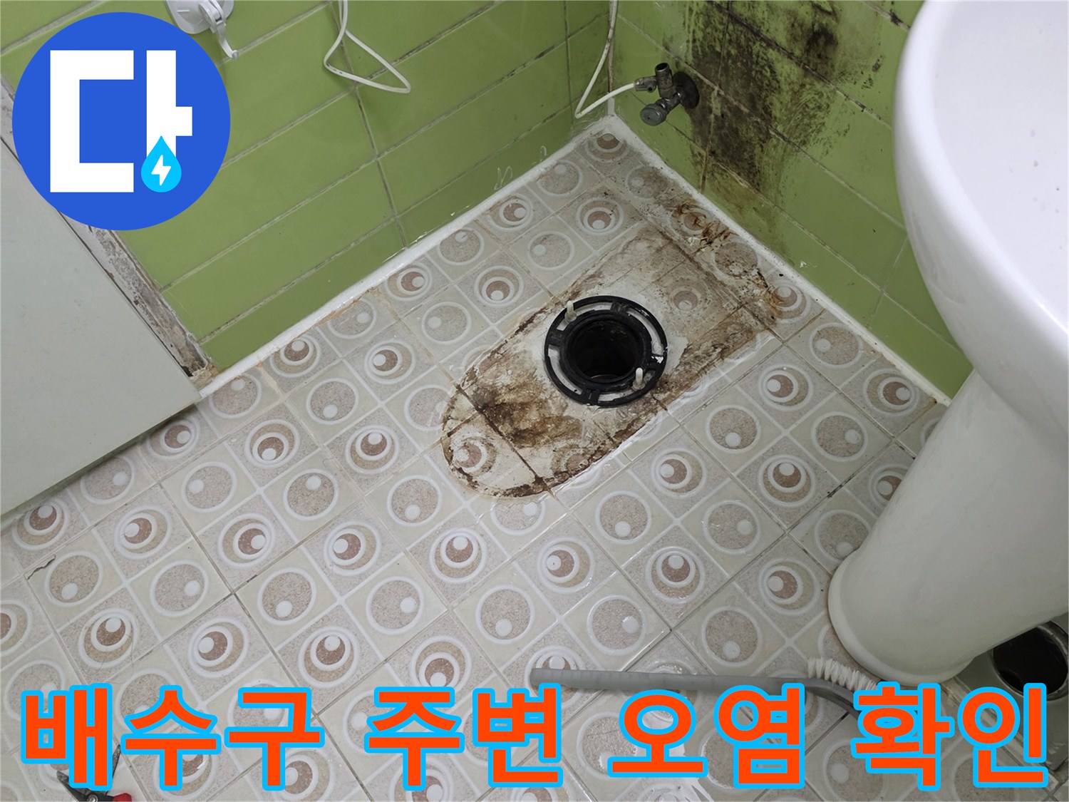 화장실 배수구 주변의 검은 곰팡이와 오염된 타일 상태