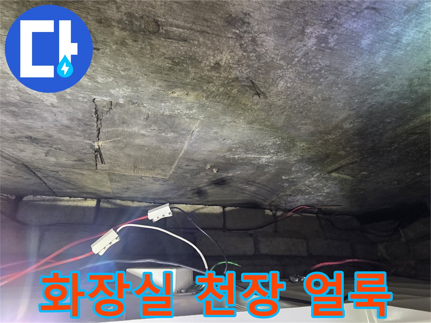 아랫집 화장실 천장면의 젖은 얼룩과 곰팡이 상태