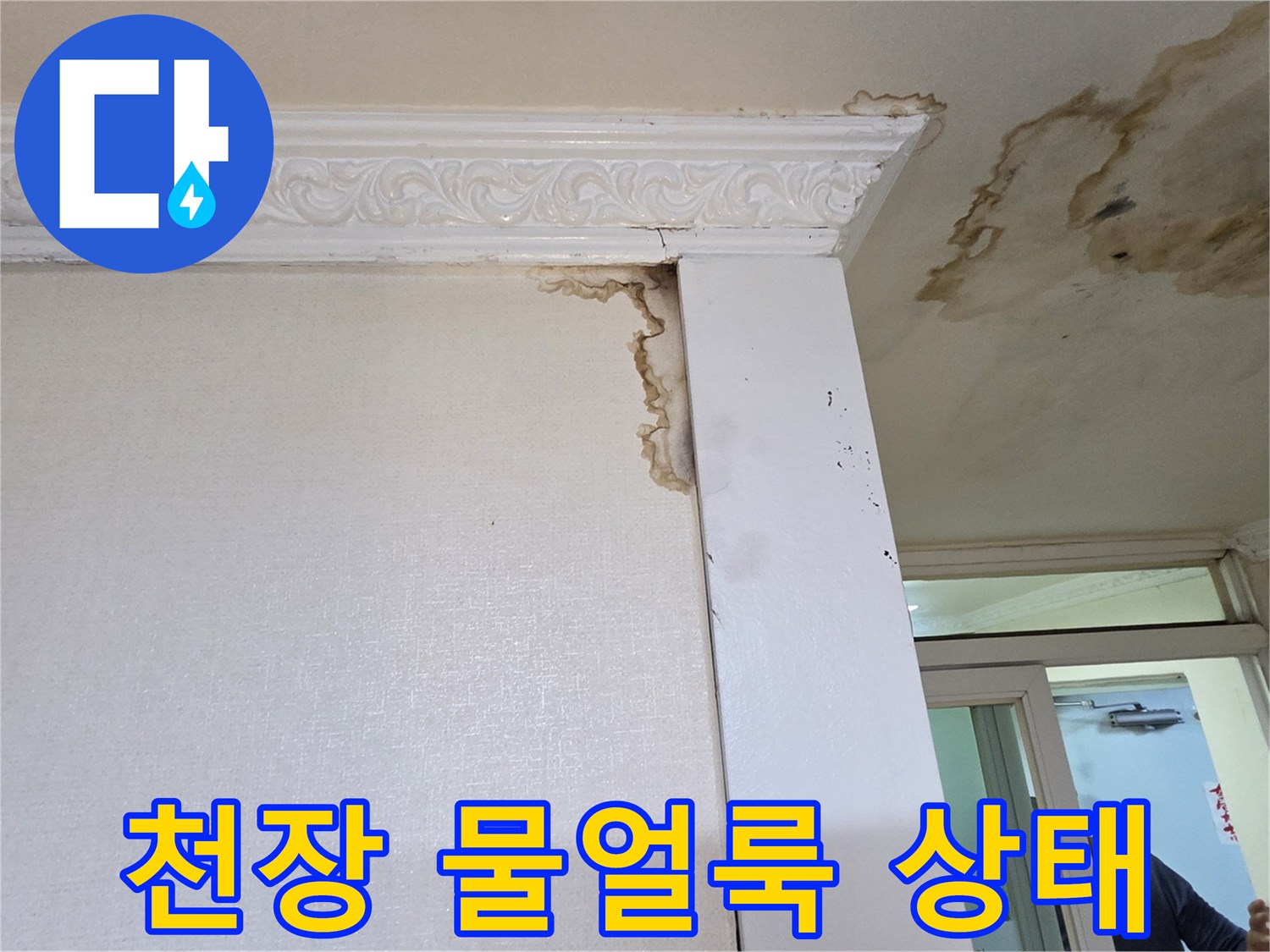 천장 몰딩 부근-심한 물얼룩과 곰팡이 발생