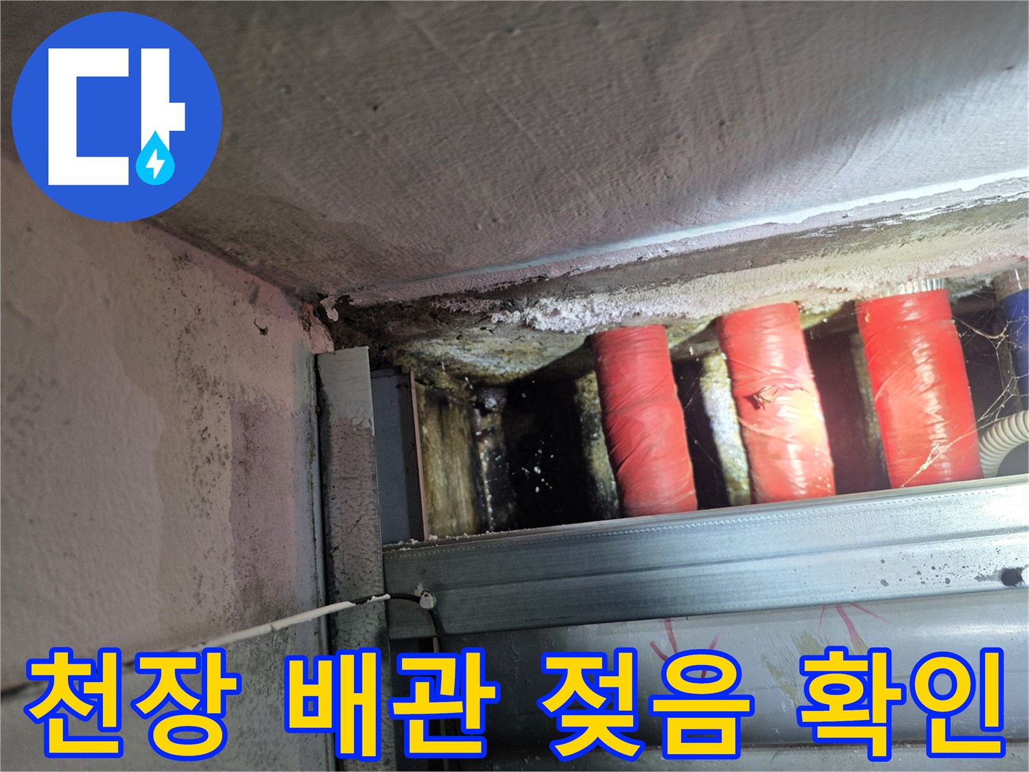 식당 지하 천장-배관 주변의 물샘 흔적과 습기 상태