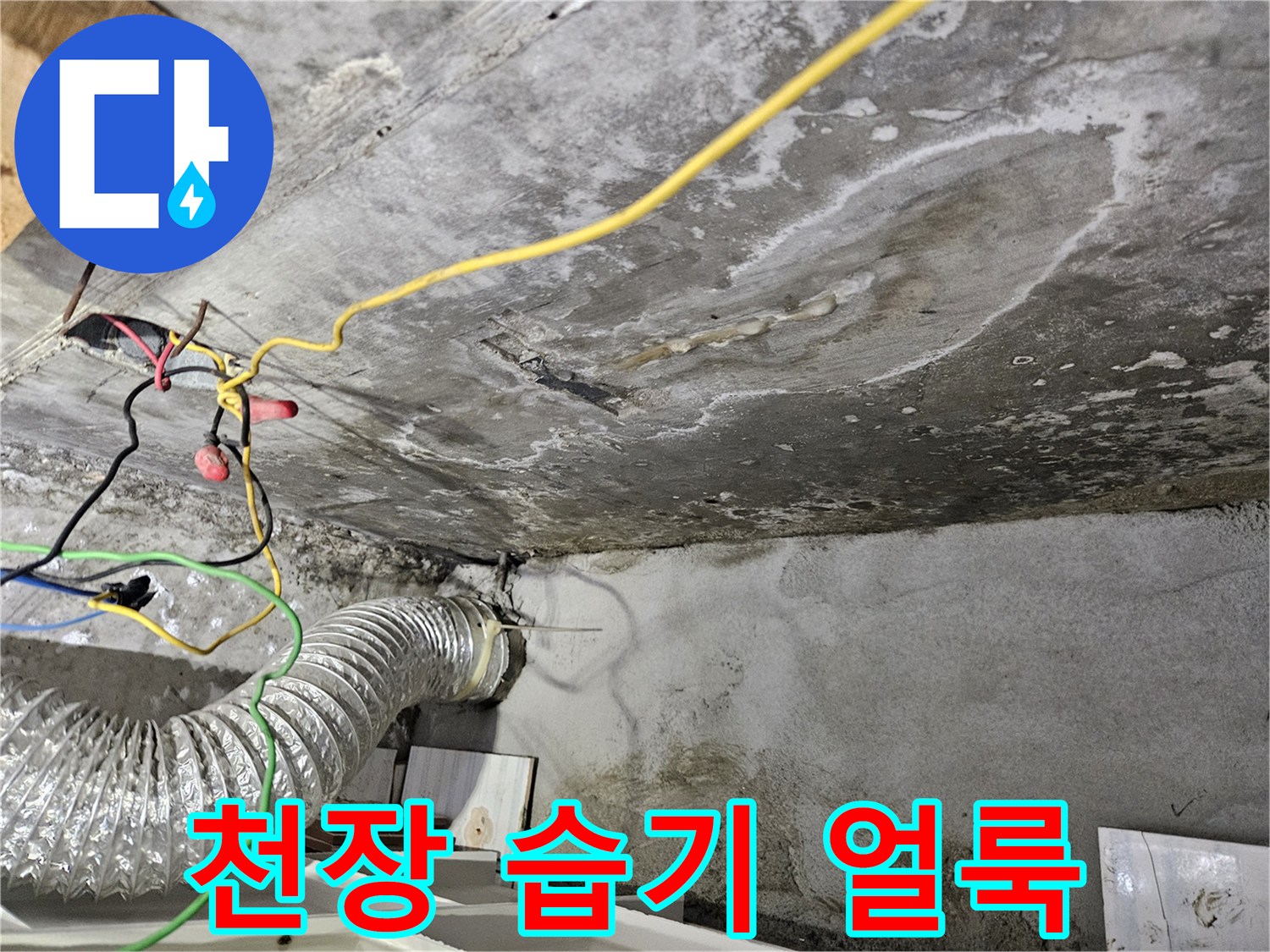 물이 스며들어 변색된 천장 내부 콘크리트 면