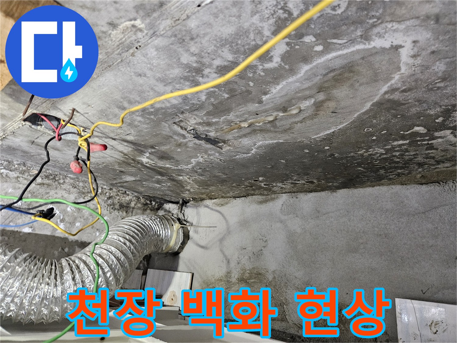 아파트-천장-콘크리트-백화-및-젖음-상태