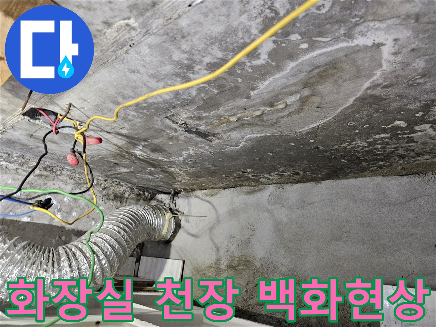 아파트 화장실 천장 콘크리트 면에 발생한 하얀 백화 현상과 습기 흔적