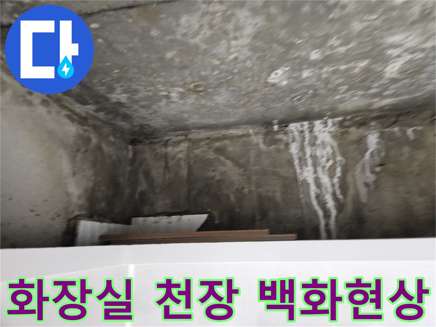 아파트 화장실 천장에 하얗게 발생한 백화 현상과 젖은 흔적