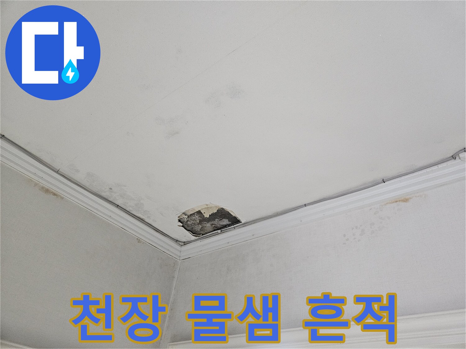 도봉구 아파트-천장 석고보드 파손 및 물샘 흔적