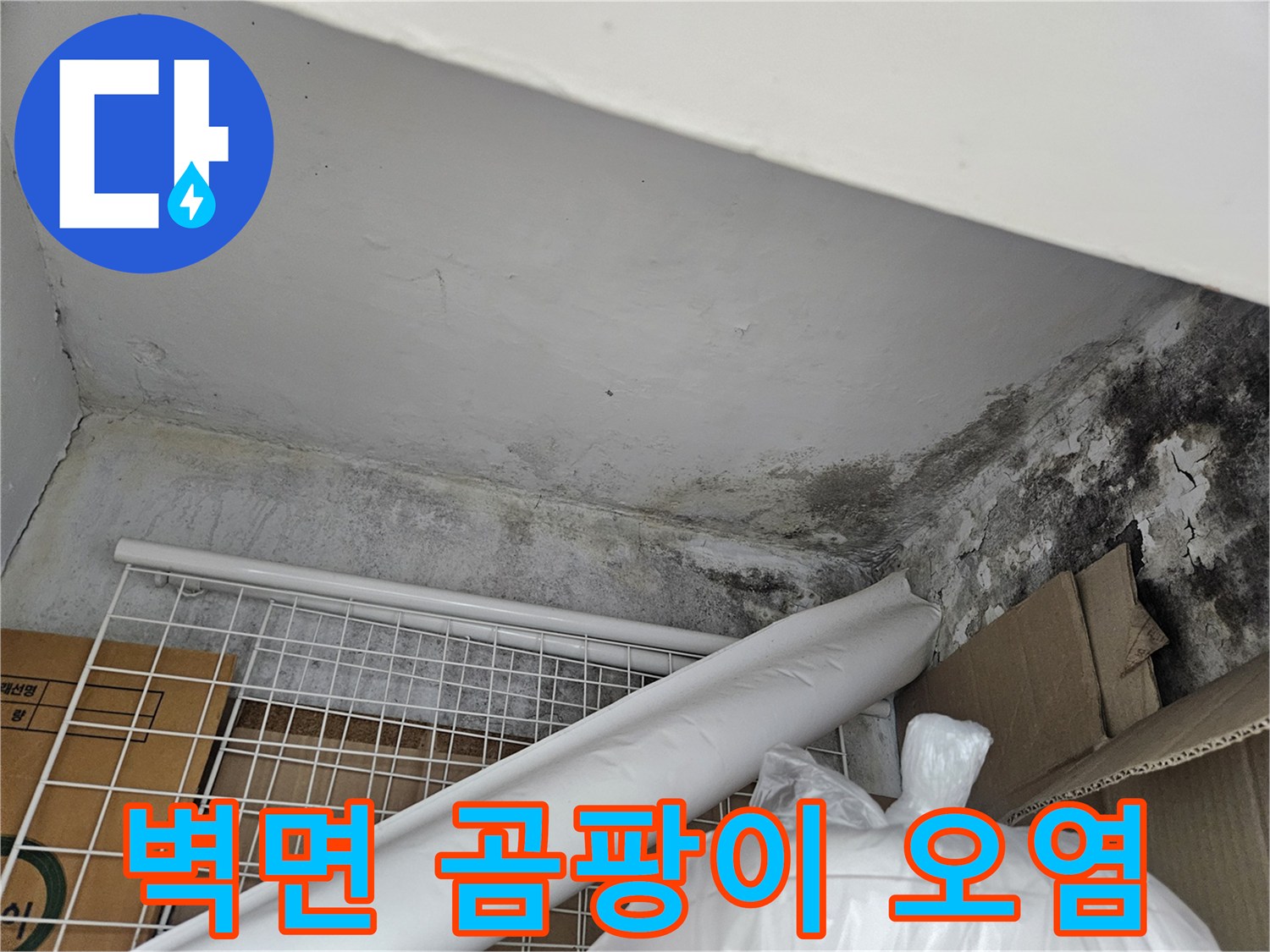 천장 마감재-물샘으로 인해 발생한 검은 곰팡이