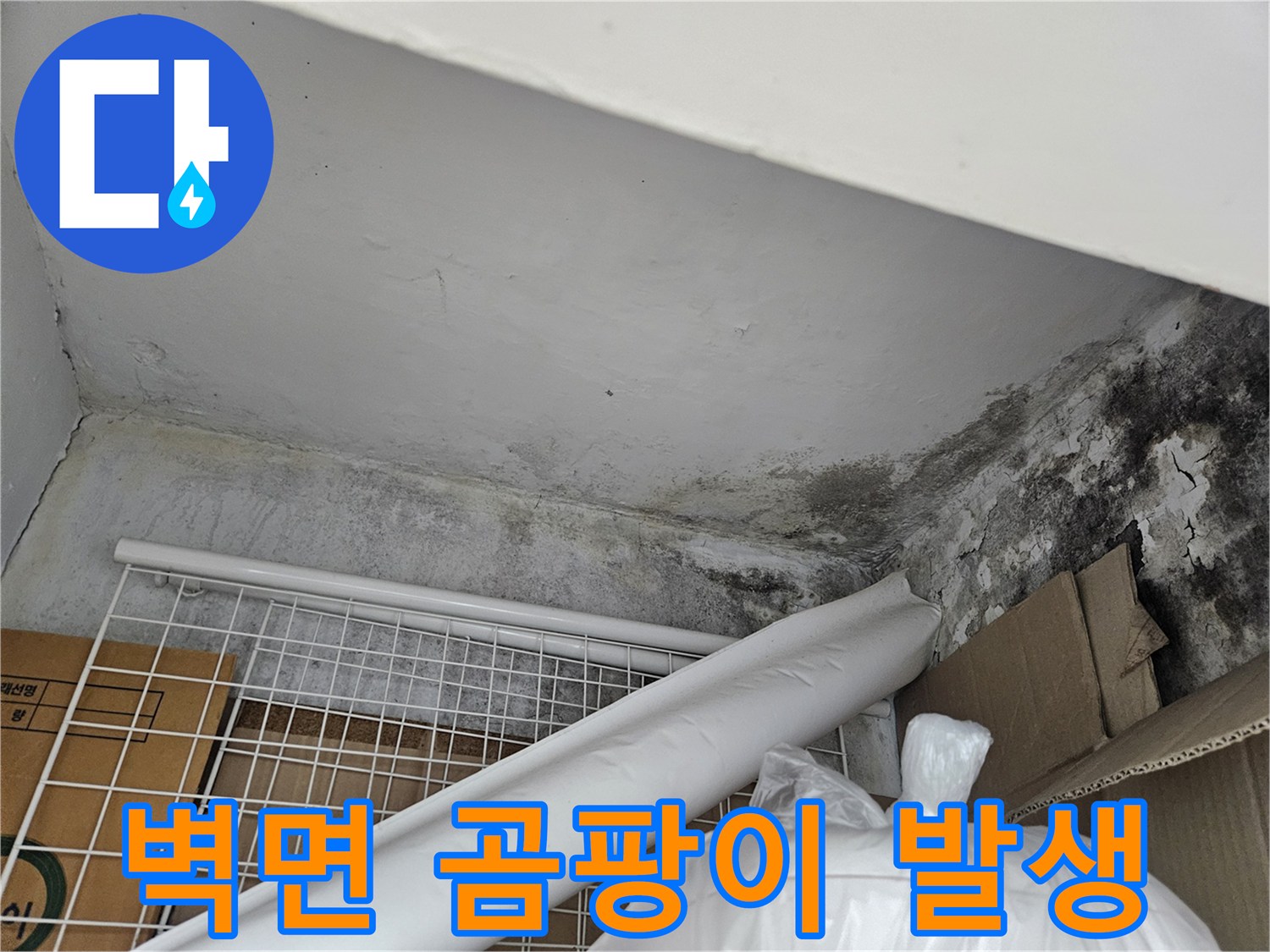 천장 접합부-습기로 인한 곰팡이 오염 상태
