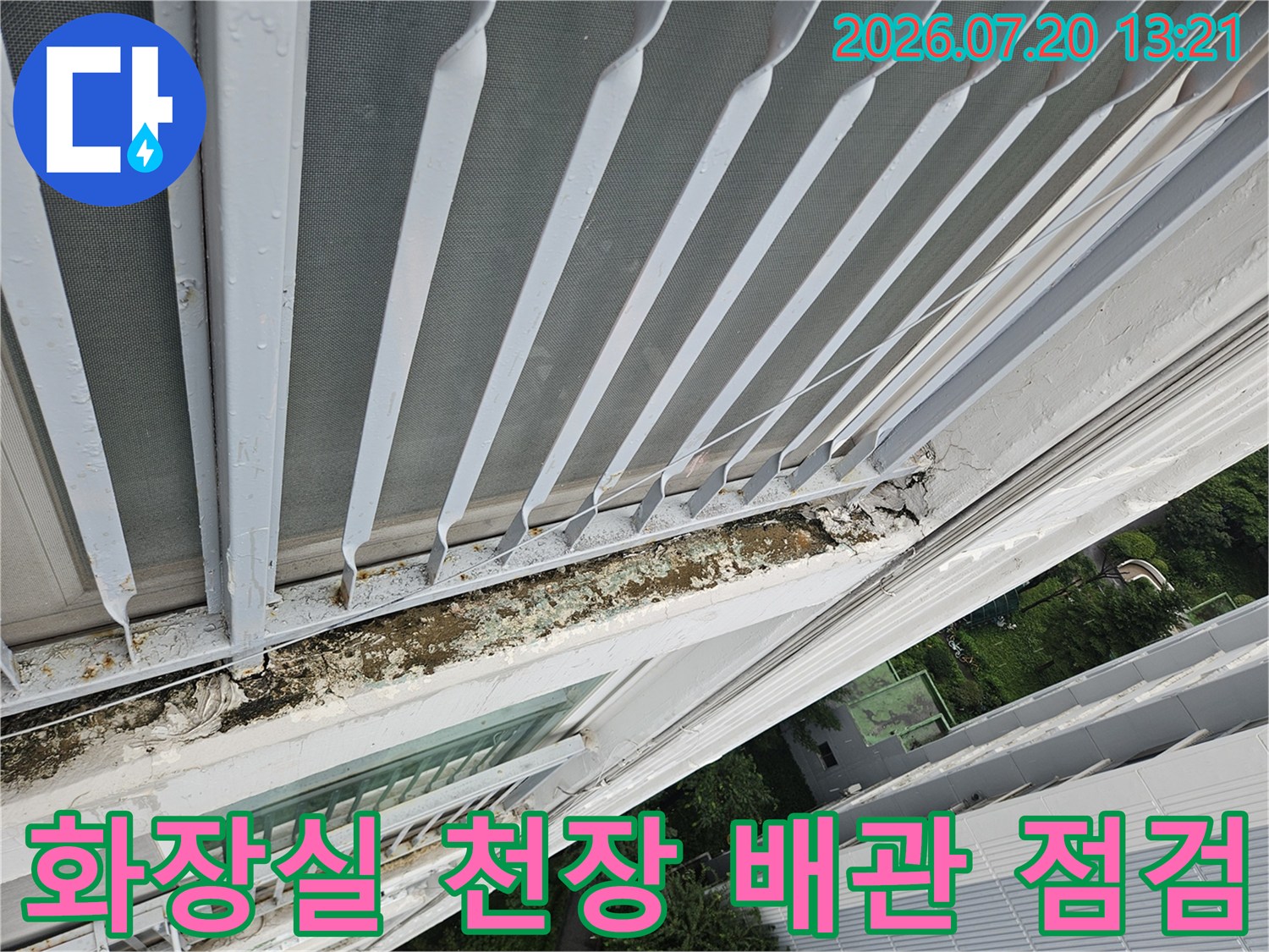 화장실 천장 내부의 젖은 배관과 오염된 마감재 모습