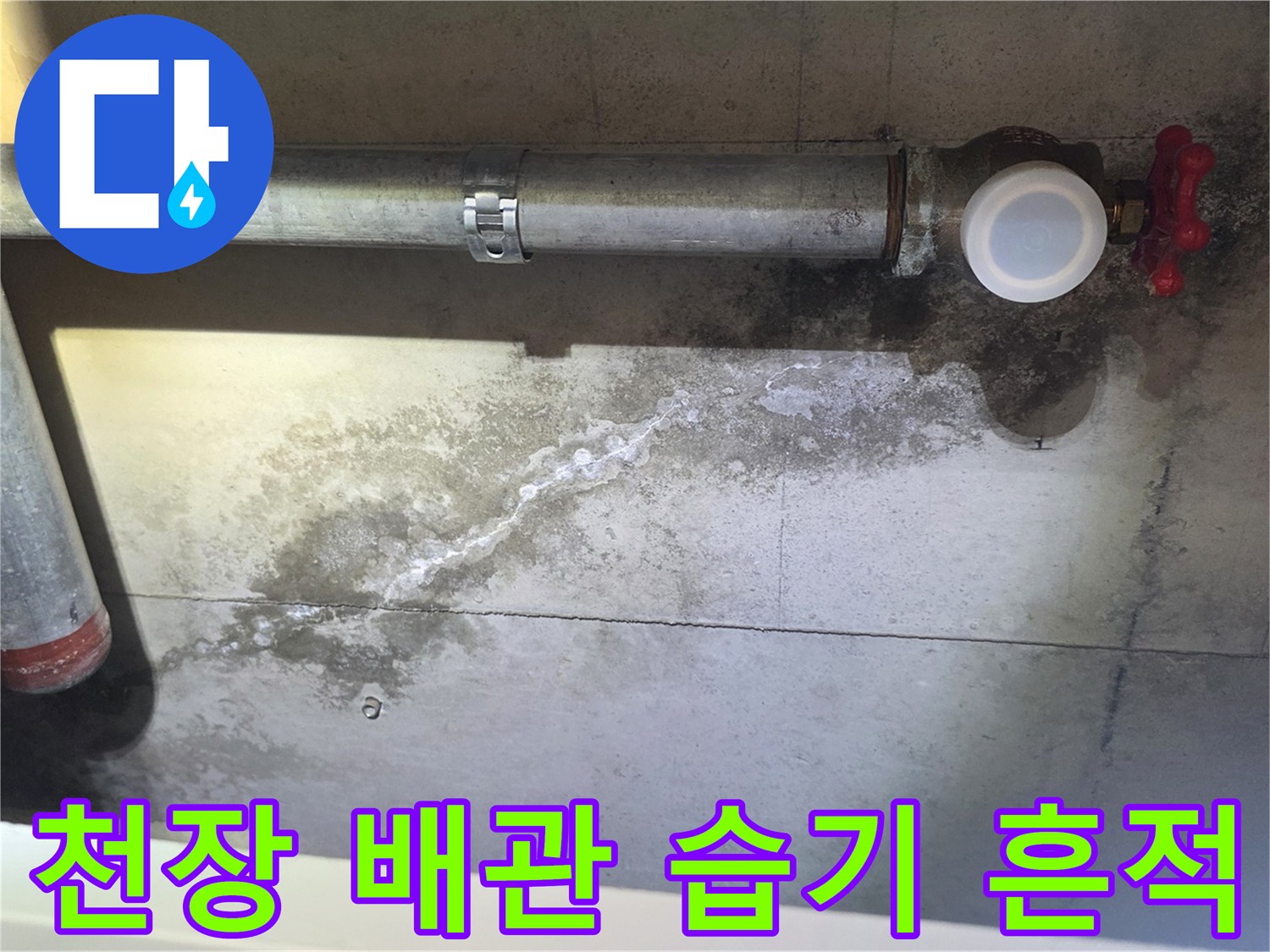 배관 연결부에서 흘러나온 물로 인해 젖어있는 콘크리트 천장면