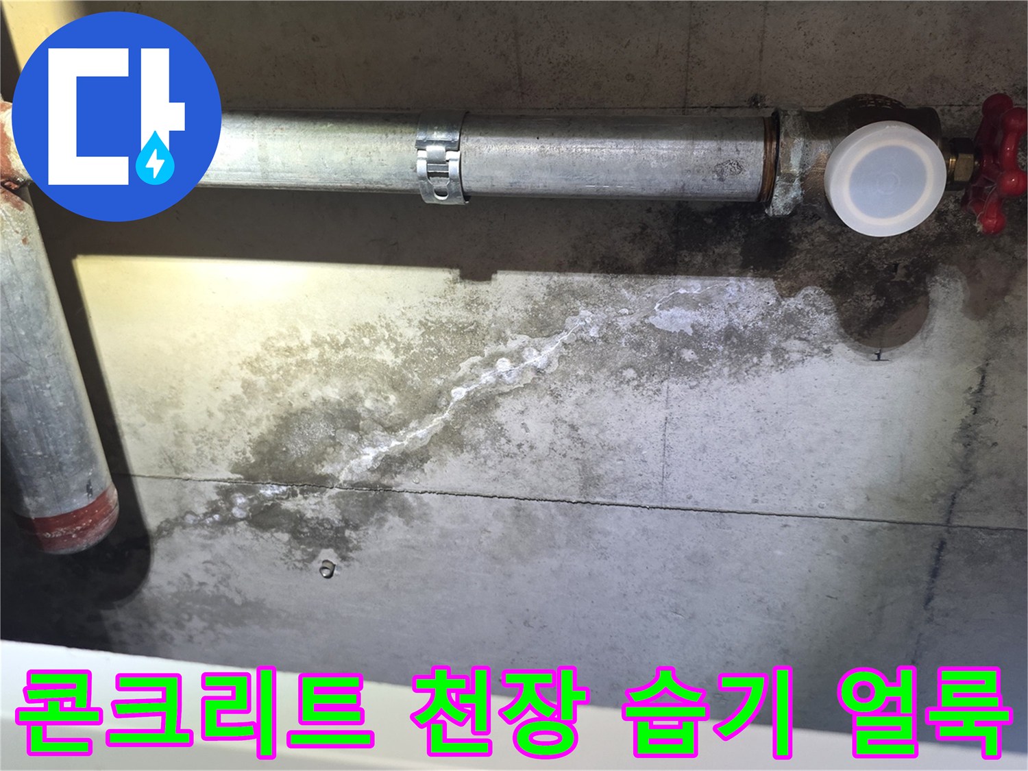 습기로 인해 변색된 콘크리트 슬래브와 배관 구조물