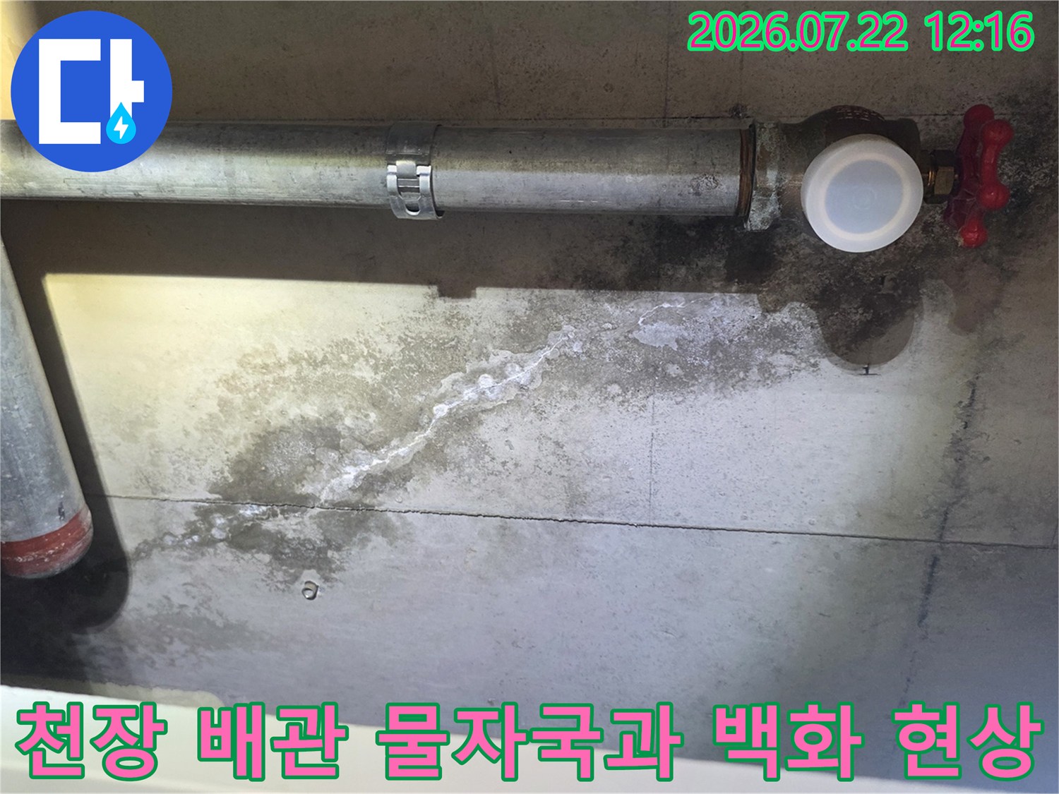 콘크리트 천장 배관 연결부에서 흘러나온 물이 하얀 백화 현상을 일으키며 번진 모습