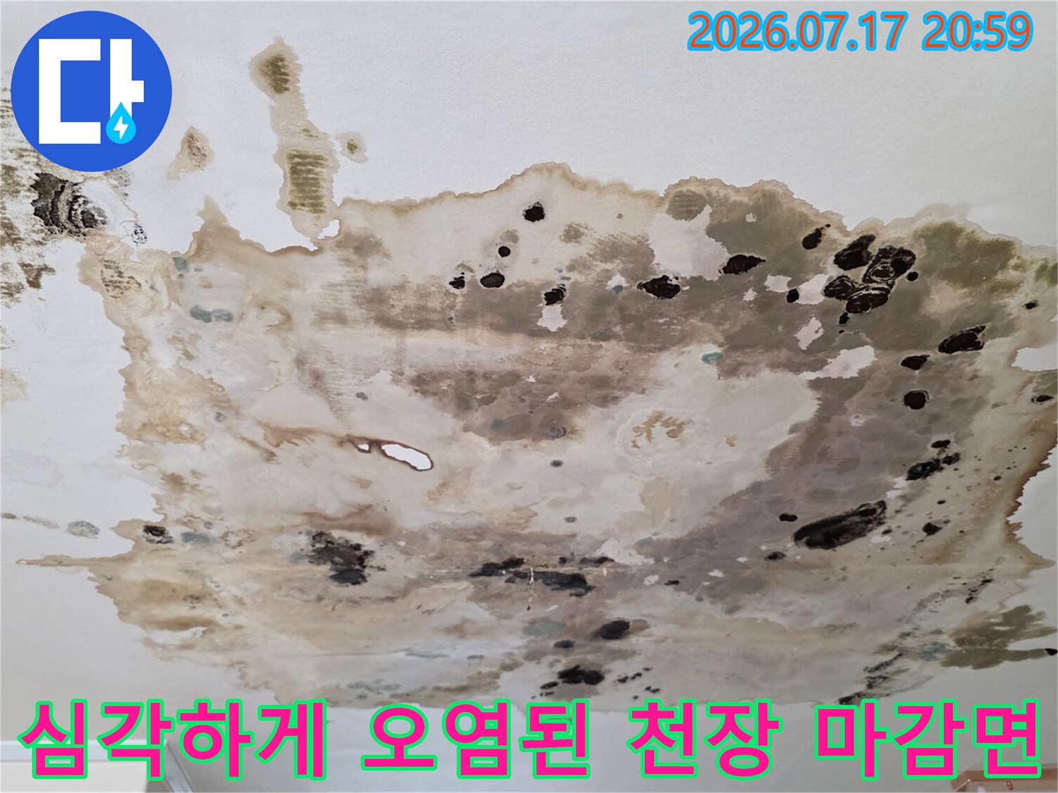 곰팡이와 수분으로 변색된 실내 천장