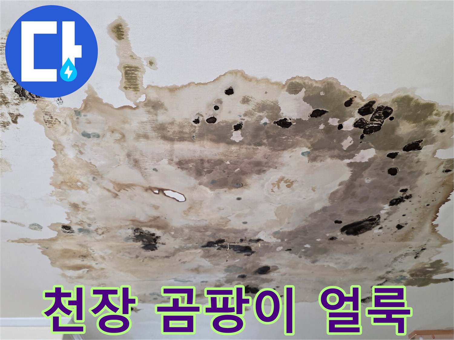 습기로-오염된-천장-석고보드-표면
