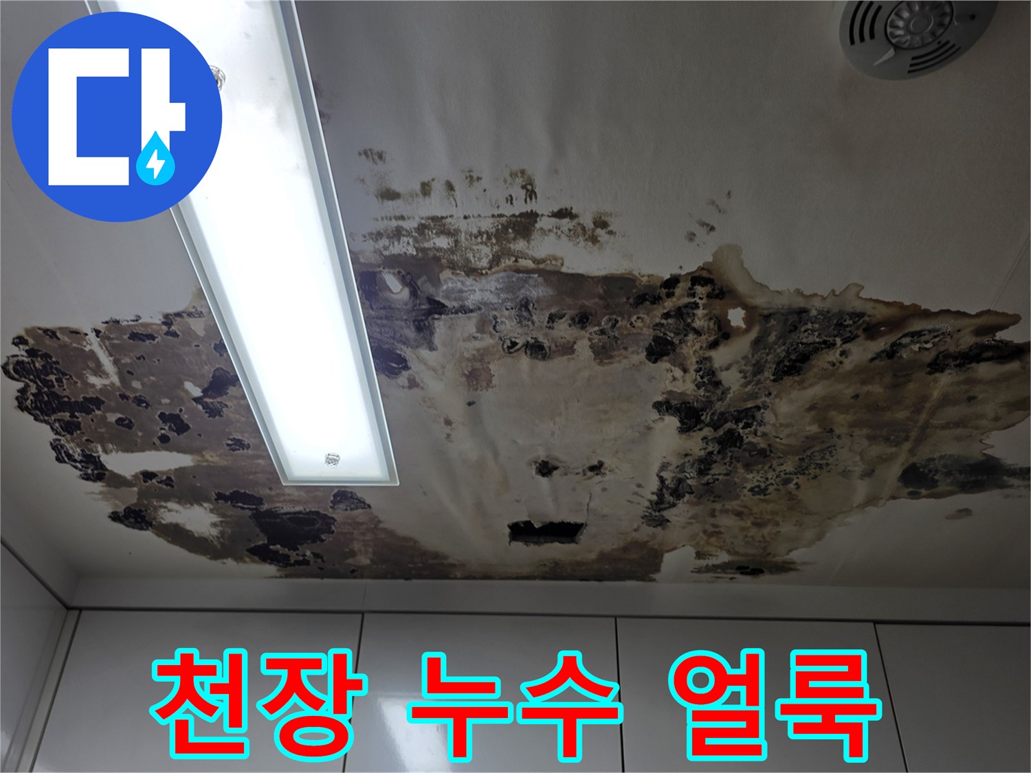 천장-면의-누수로-인한-심각한-얼룩과-오염