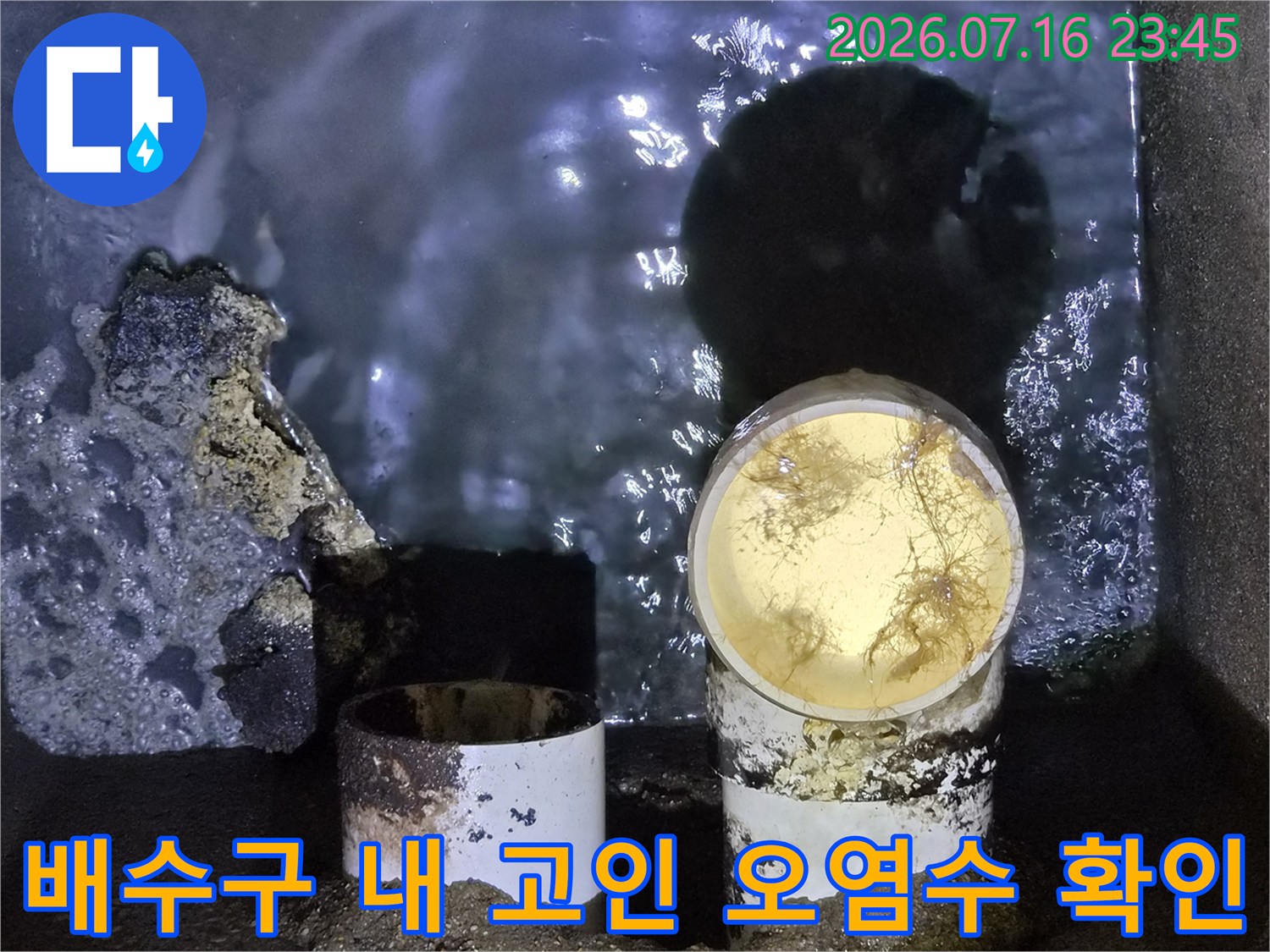 노란색 슬러지로 가득 찬 배수구 내부를 촬영한 사진