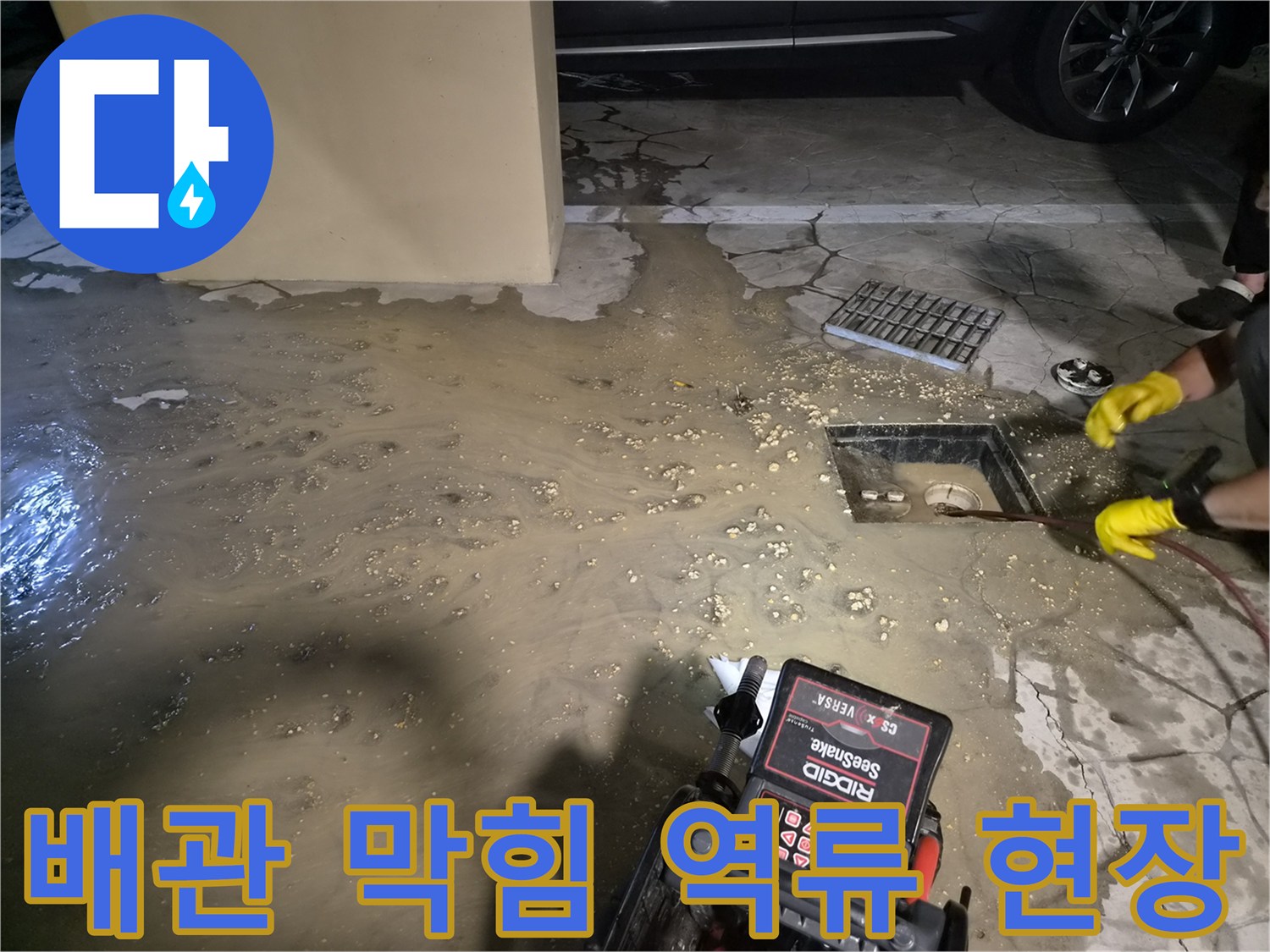 오수가-역류하여-고여있는-바닥-현장