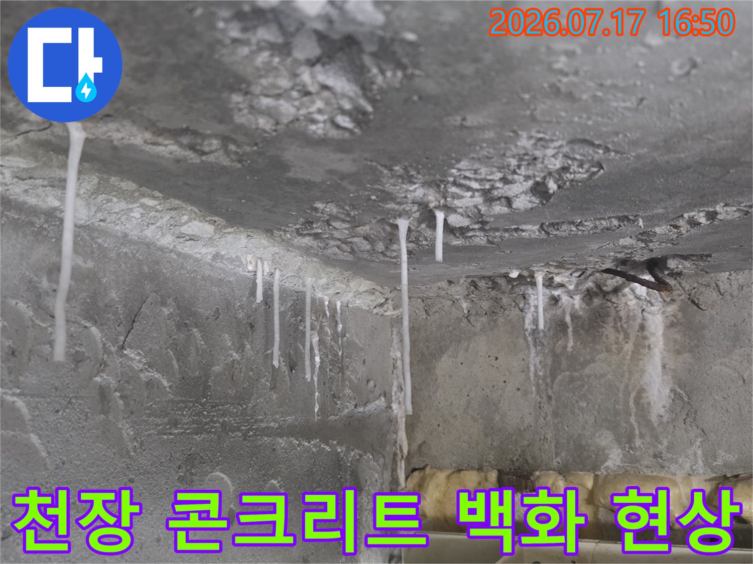 화장실 천장 콘크리트 슬래브에서 하얀 석회물이 고드름처럼 맺혀 있는 모습
